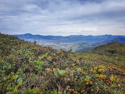 sr. foto Cortesía Paul Székely