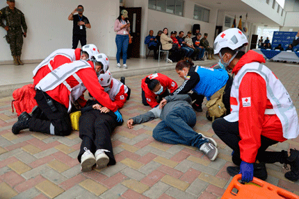 sr.cnesimulacroconsulta