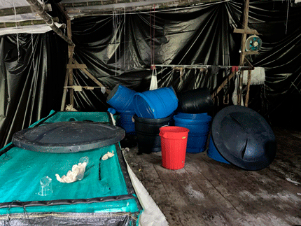 sr.esmeraldasdecomiso