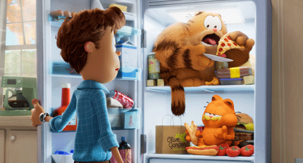 sr.garfield